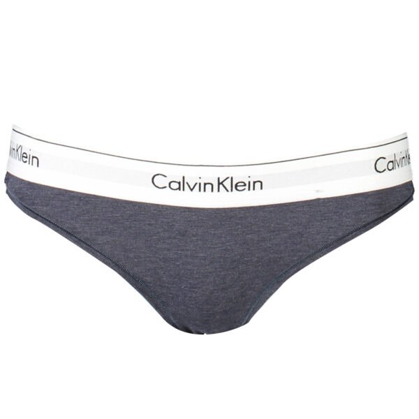 CALVIN KLEIN BLUE WOMEN'S BRIEFS